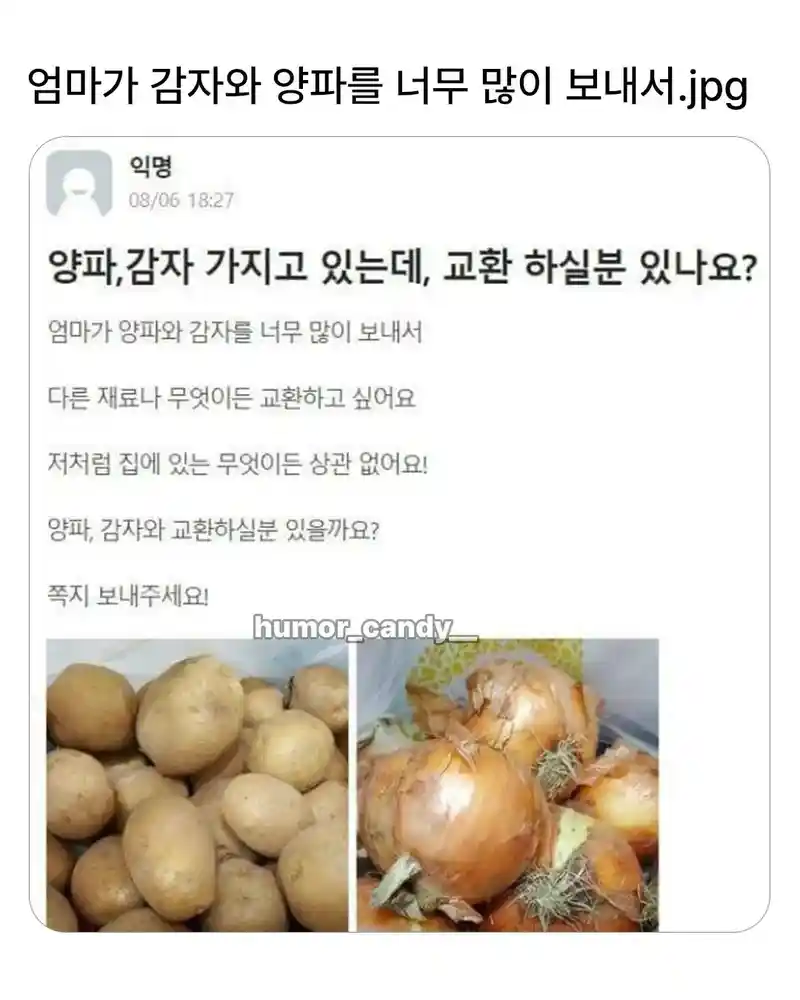엄마가 감자랑 양파를 너무 많이 보내서