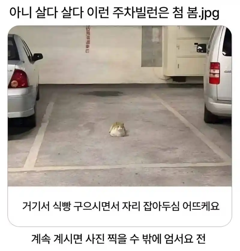살다살다 이런 주차빌런은 처음 봄