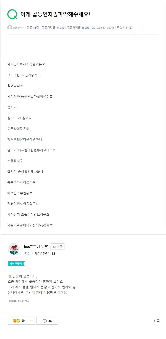 페이커 지식인 활동 모음
