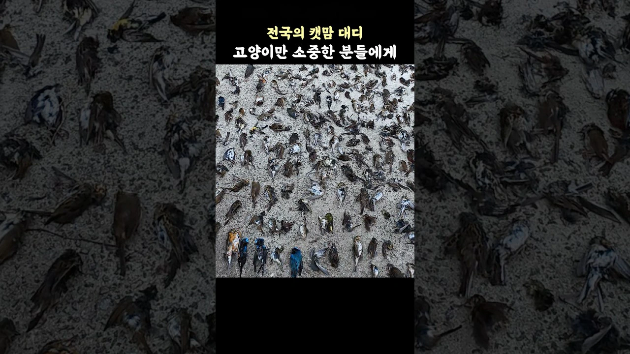 정신 나갈 것 같은 한 컷