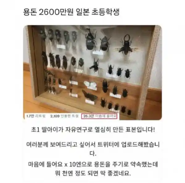 용돈 2600만 원 받게 된 일본 초1