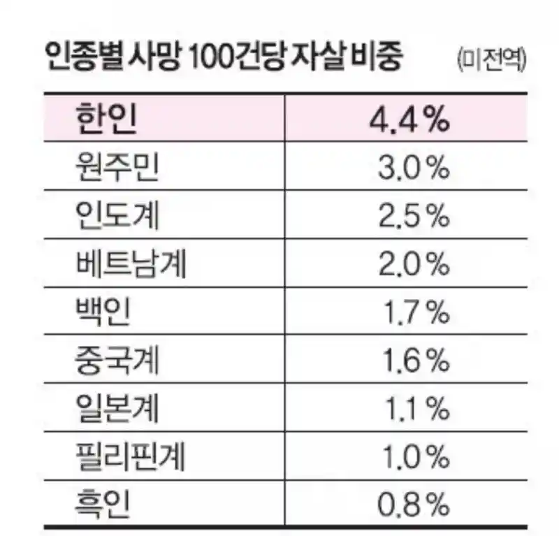 미국내 인종별 자살률