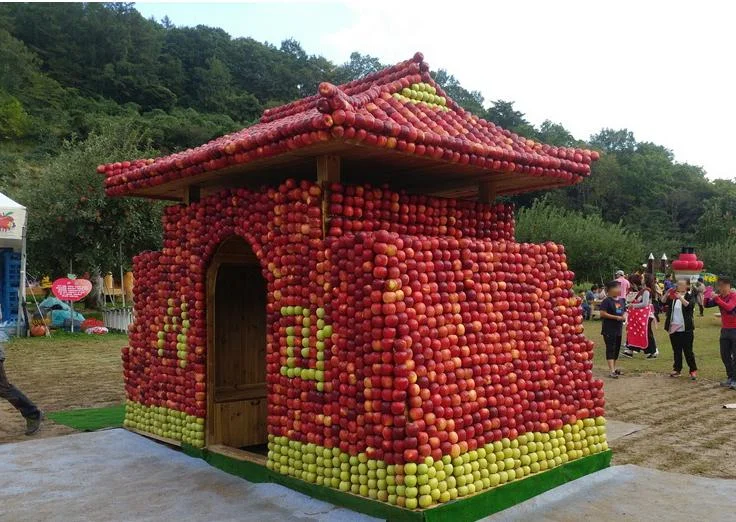 정석적인 사과문