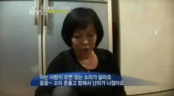 모텔 단골을 알아보는 멍멍이