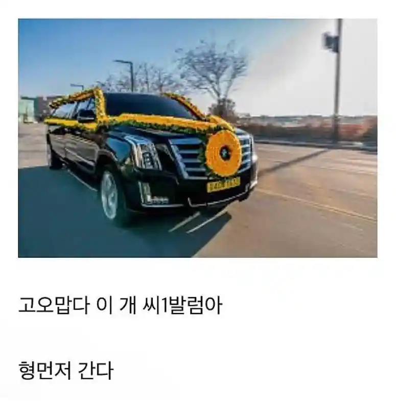 자랑주의) 삼전닉스덕에 캐딜락 뽑음
