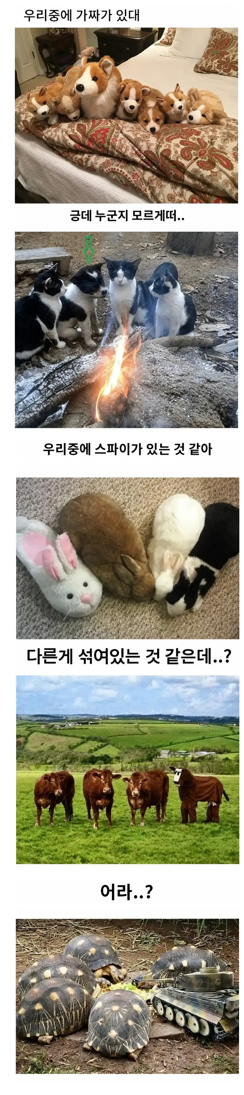 우리중에 가짜가 있대