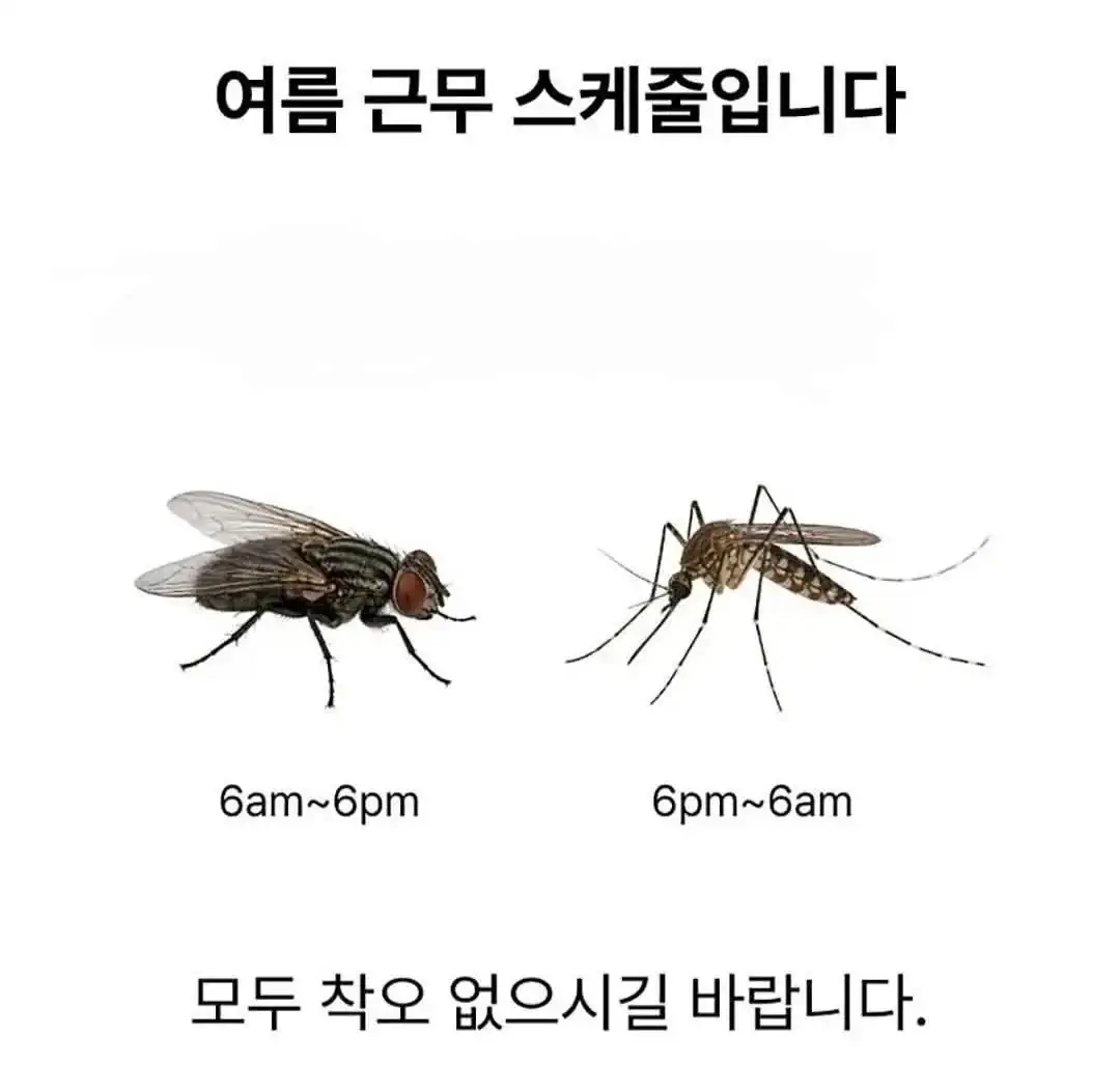 여름 근무 스케줄을 공지드립니다.jpg