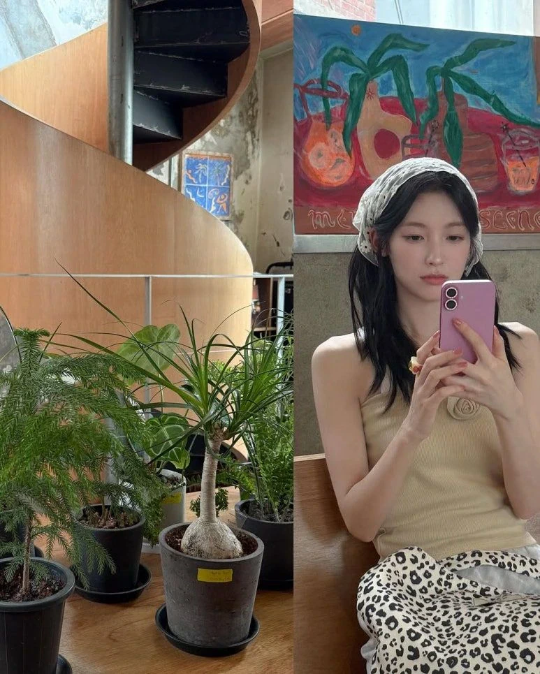 드레스핏 꼰다리 허벅지 오마이걸 아린