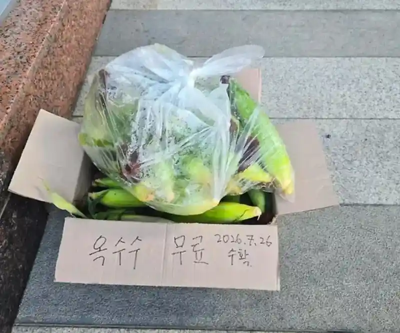현재 강원도 상황이라는데 진짜야?
