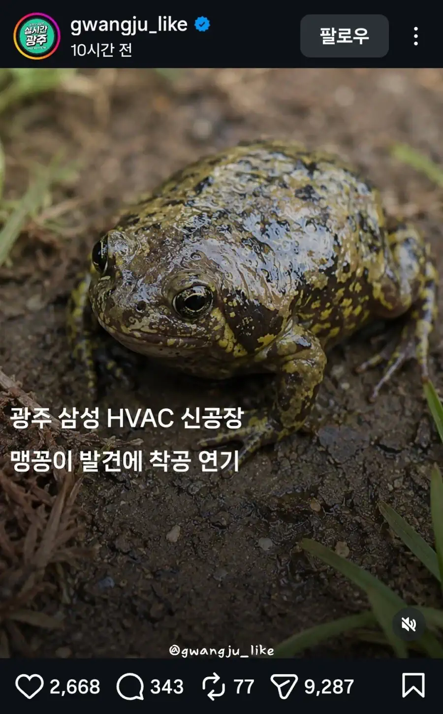 광주의 삼성 신규 공장 착공이 연기된 이유