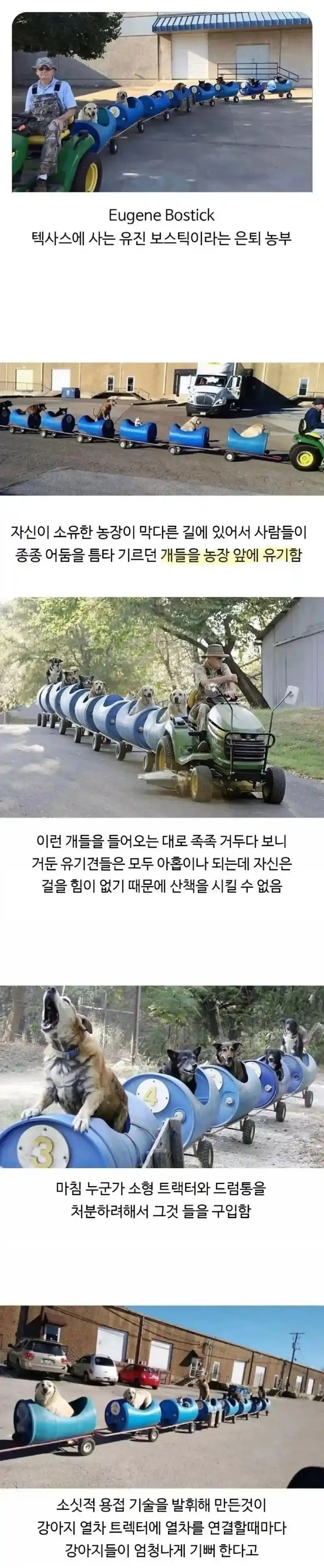 80대 할아버지가 댕댕이들과 산책하는 방법.jpg