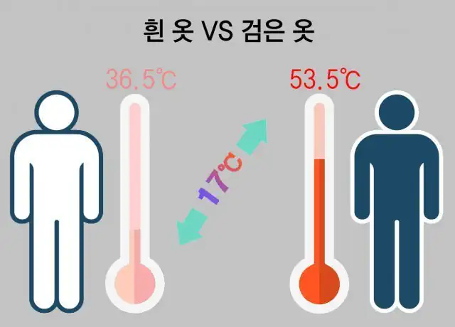 티셔츠 색깔별 열 흡수 차이