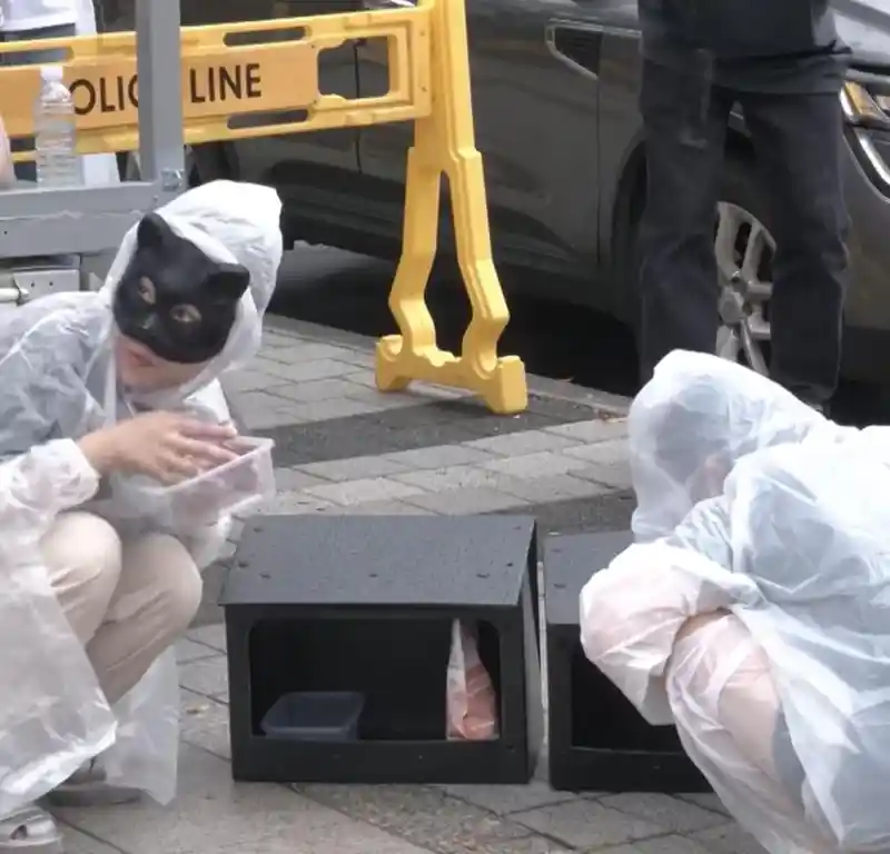 동대문 캣맘들 근황