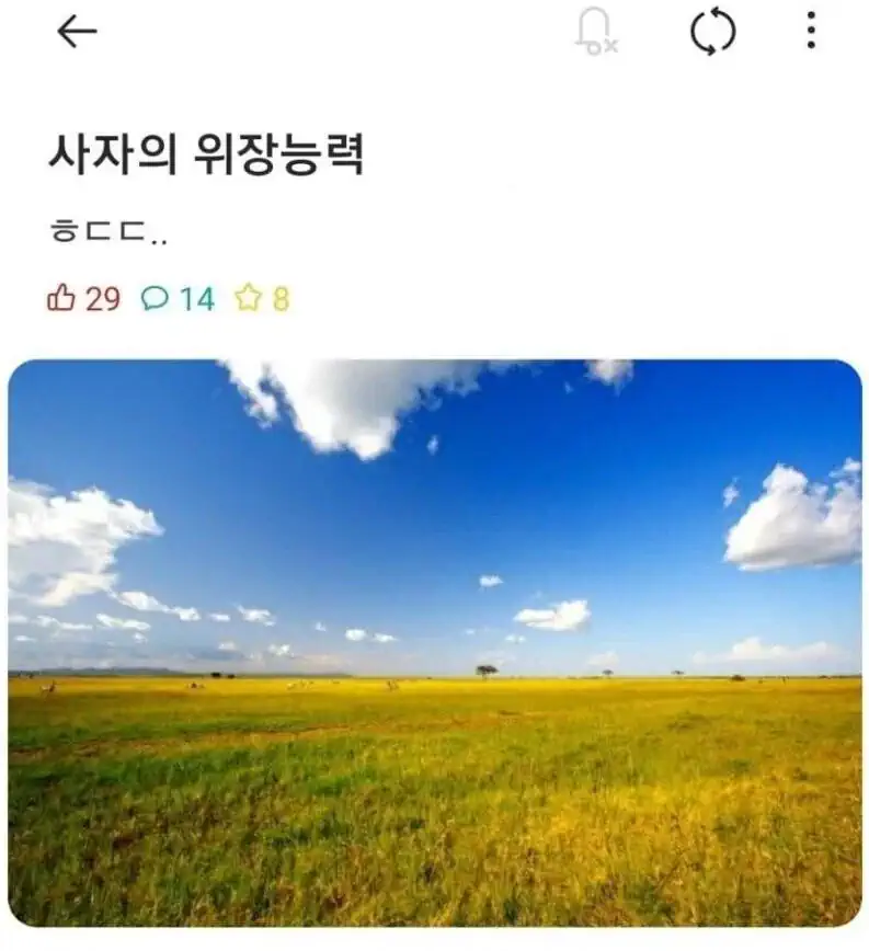 사자의 위장 능력.jpg