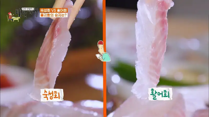 활어회VS숙성회 한눈에 보는 차이