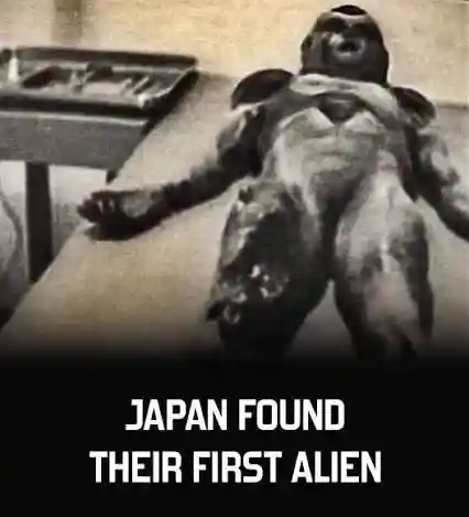 일본에서 처음으로 발견된 외계인 ㄷㄷ