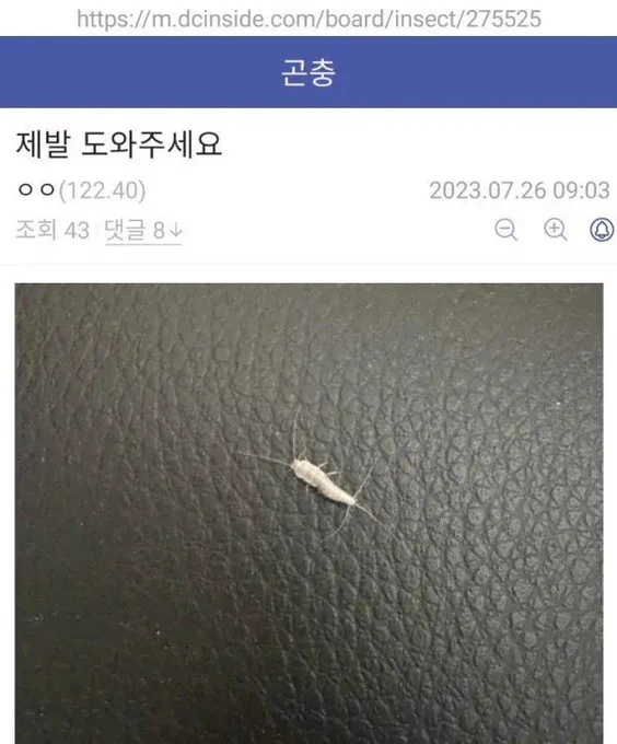 곤충갤러리에 존재하는 암묵의 룰.jpg