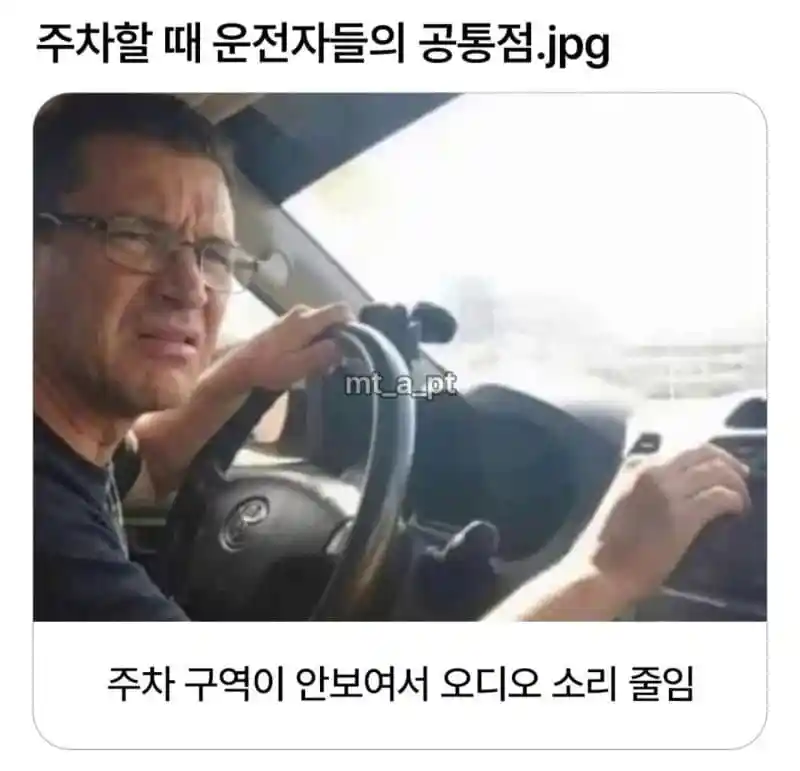 주차할때 운전자들 공통점