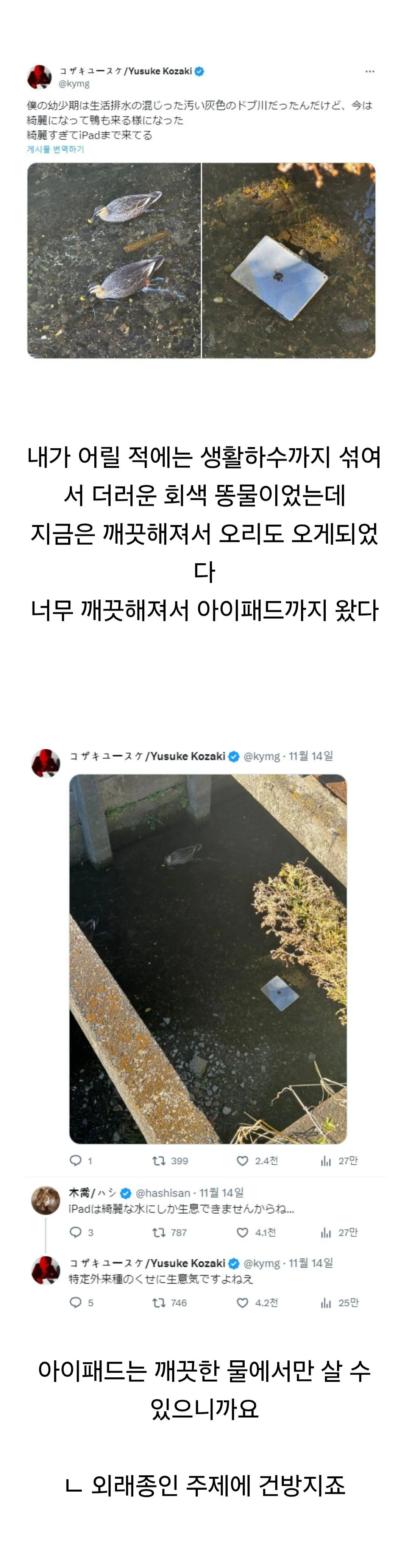 동네 하천이 깨끗해지자 생긴 변화.jpg