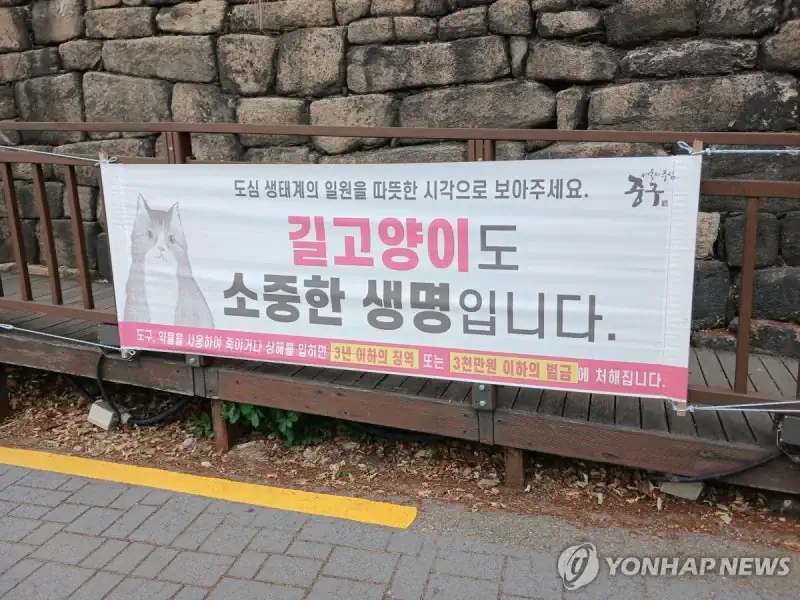 캣맘은 왜 공감을 잃었나