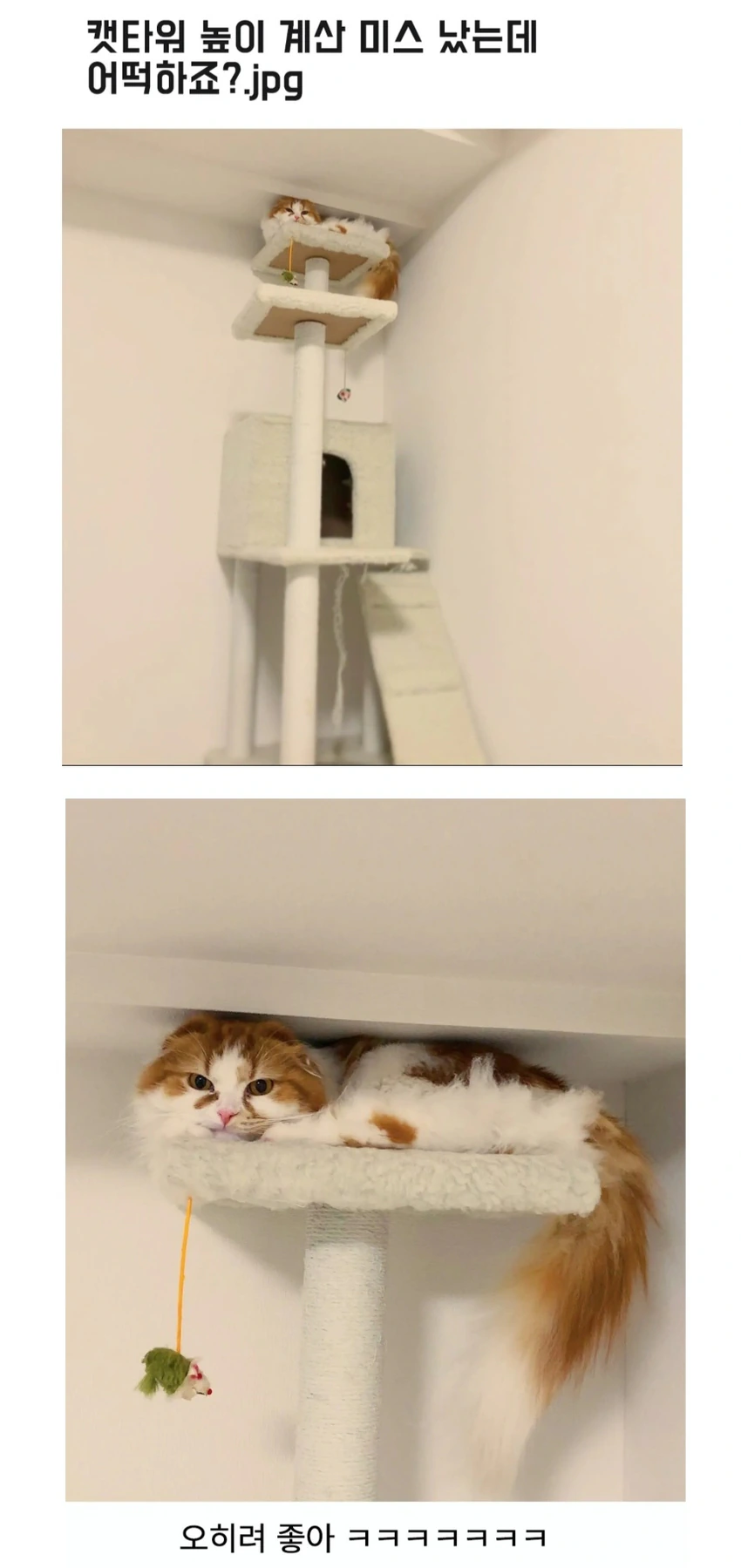 캣타워 높이 계산 미스났는데 어떡하죠??