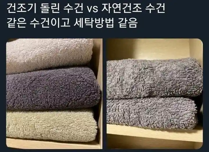건조기 돌린 수건 VS 자연 건조 수건.jpg