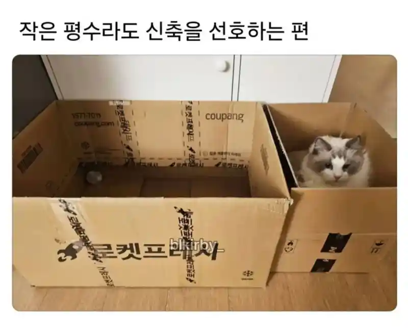 작은 평수라도 신축이 선호됨