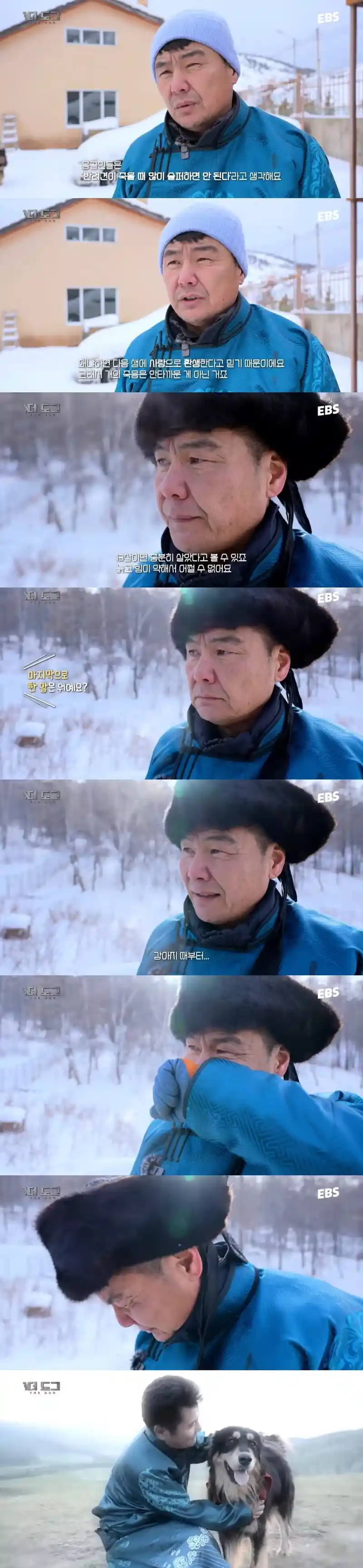 반려견이 죽었을 때 많이 슬퍼하면 안 된다라고 생각해요.jpg