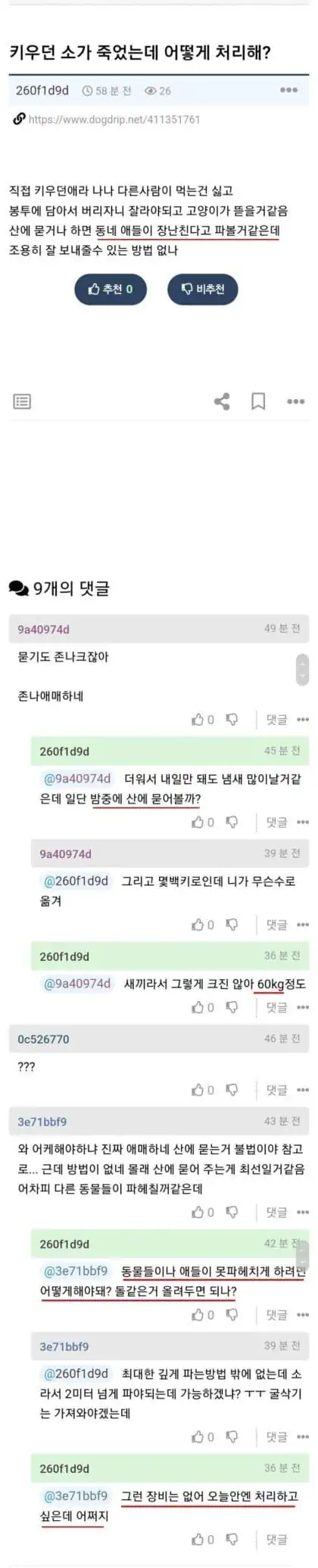 키우던 소가 죽었는데 어떻게 처리해?