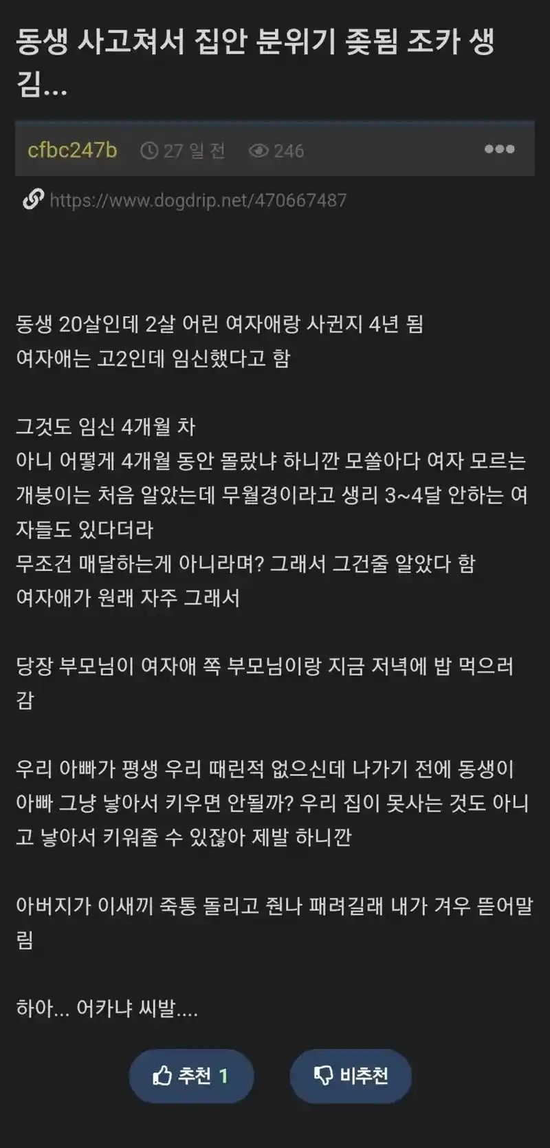 동생이 사고 쳐서 고2 여친을 임신시킴