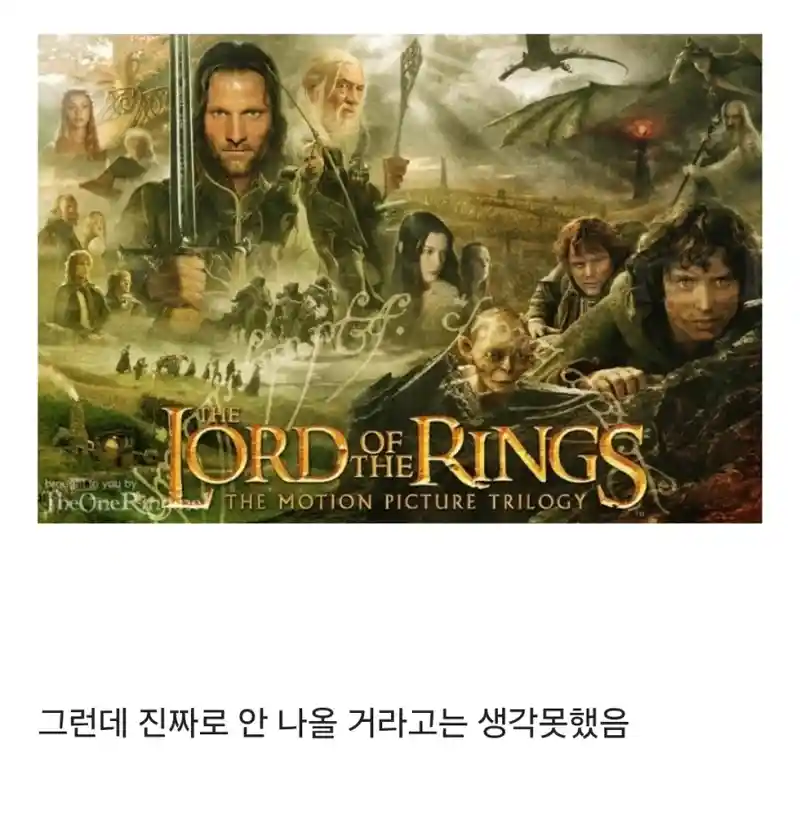 반지의 제왕 개봉 때 이거 뛰어넘을 판타지 영화 못 나올거라 생각했음