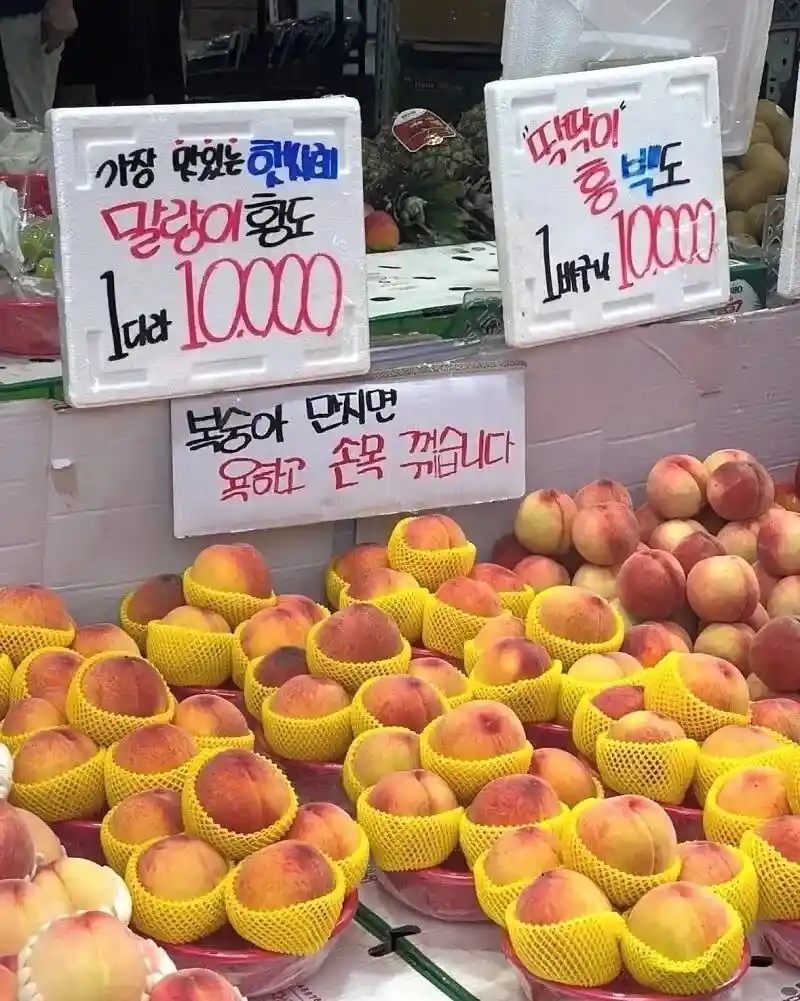 복숭아를 손으로 만지면 안돼는 이유.jpg