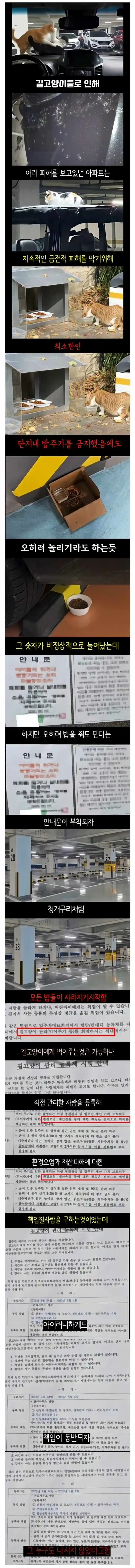 캣맘의 위엄