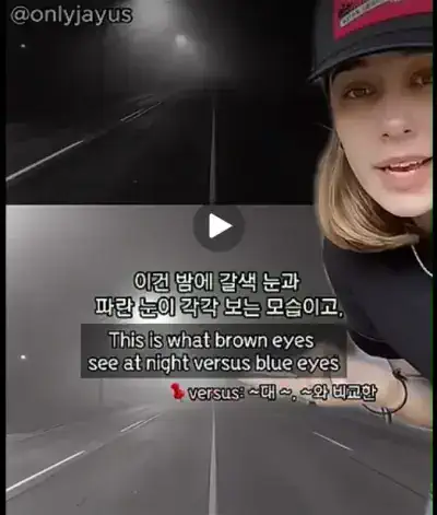 갈색 눈동자를 가진 사람은 몰랐을 파란눈이 보는 세상