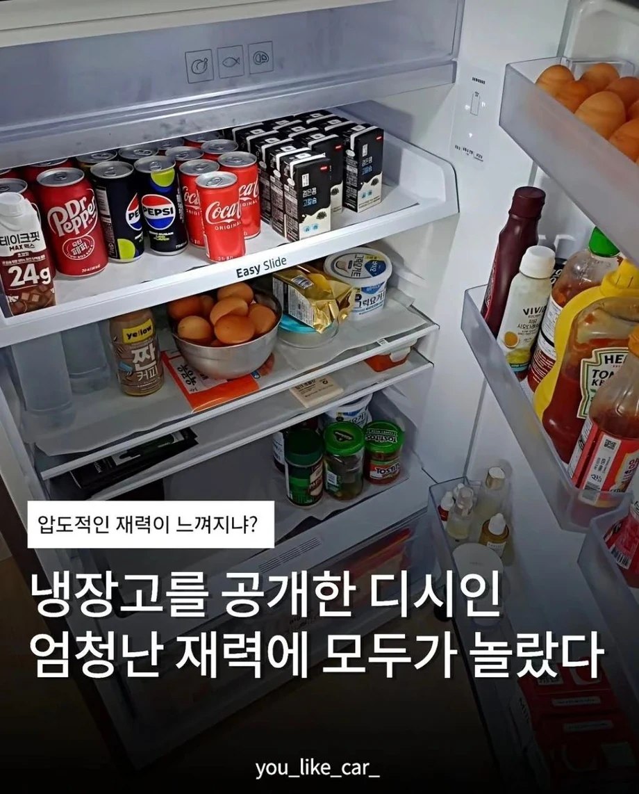 압도적인 재력에 모두가 놀란 디시인