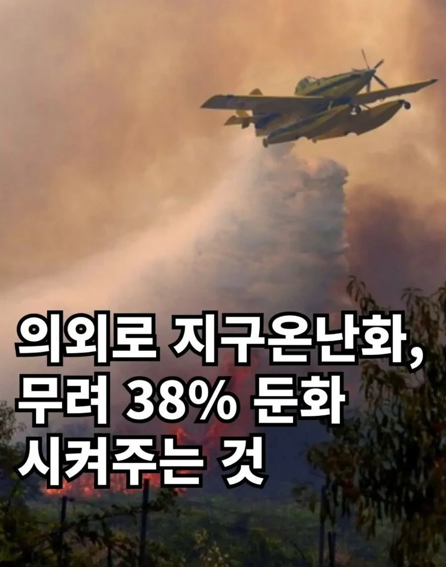 산불이 지구온난화를 늦춘다고?