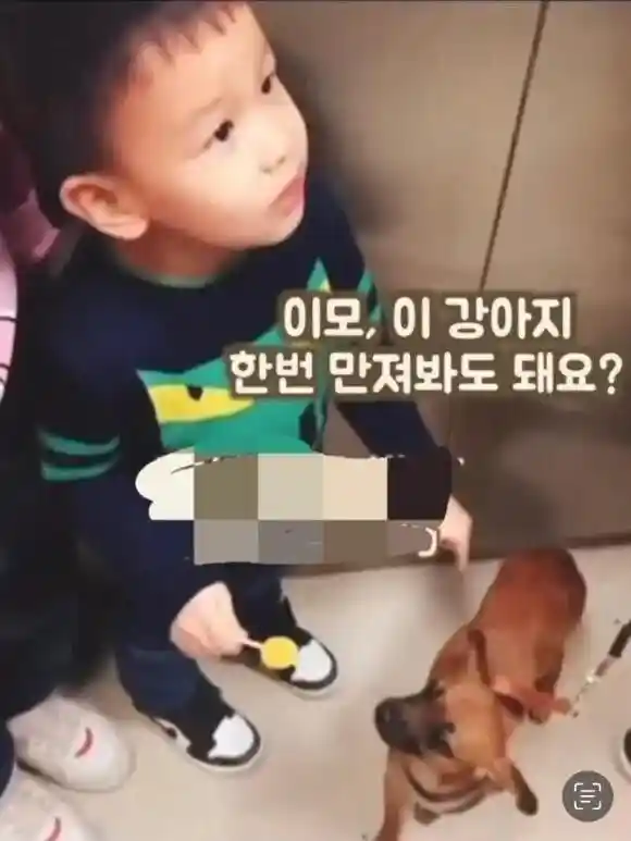 이모, 이 강아지 한번 만져봐도 돼요?