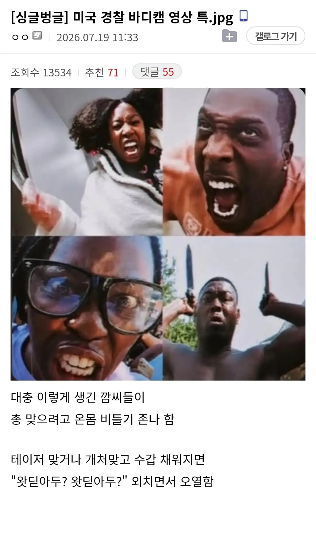 와들와들 미국 경찰 바디캠 영상 특..jpg