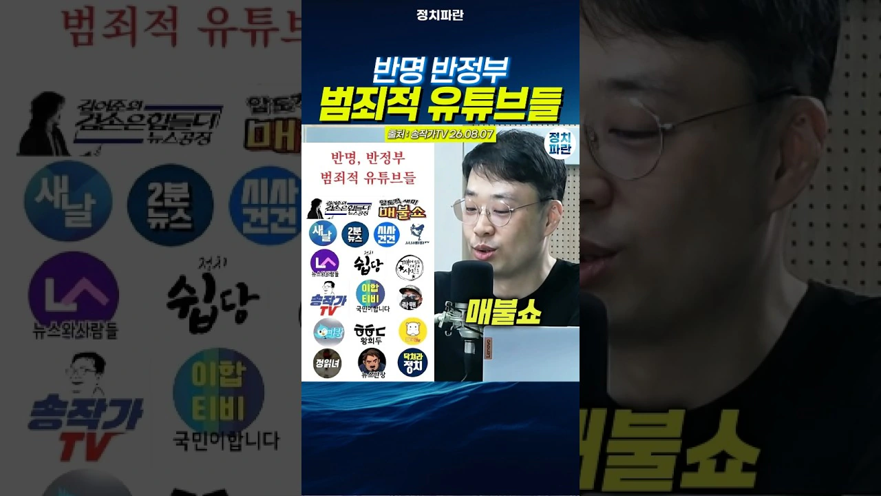 반명, 반정부 범죄적 유튜브들