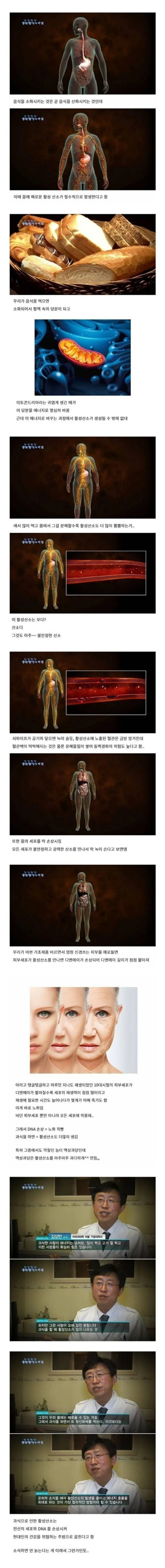 과식이 노화 부스터인 이유 ㄷㄷㄷㄷㄷㄷ