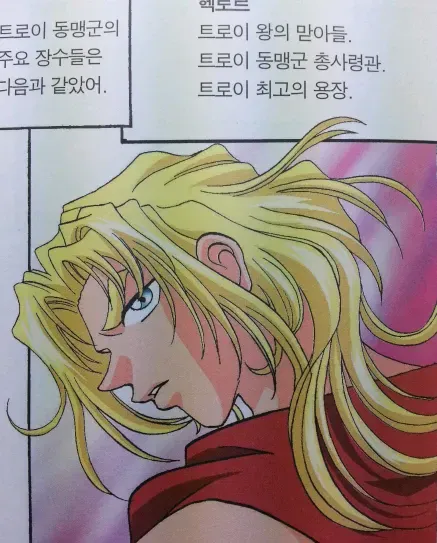 트로이전쟁 비대칭 전력
