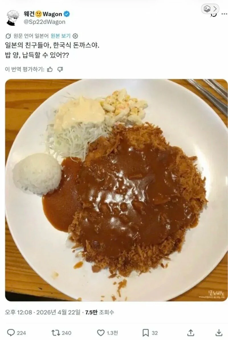 한국 돈까스 밥 양이 신기한 일본인.jpg